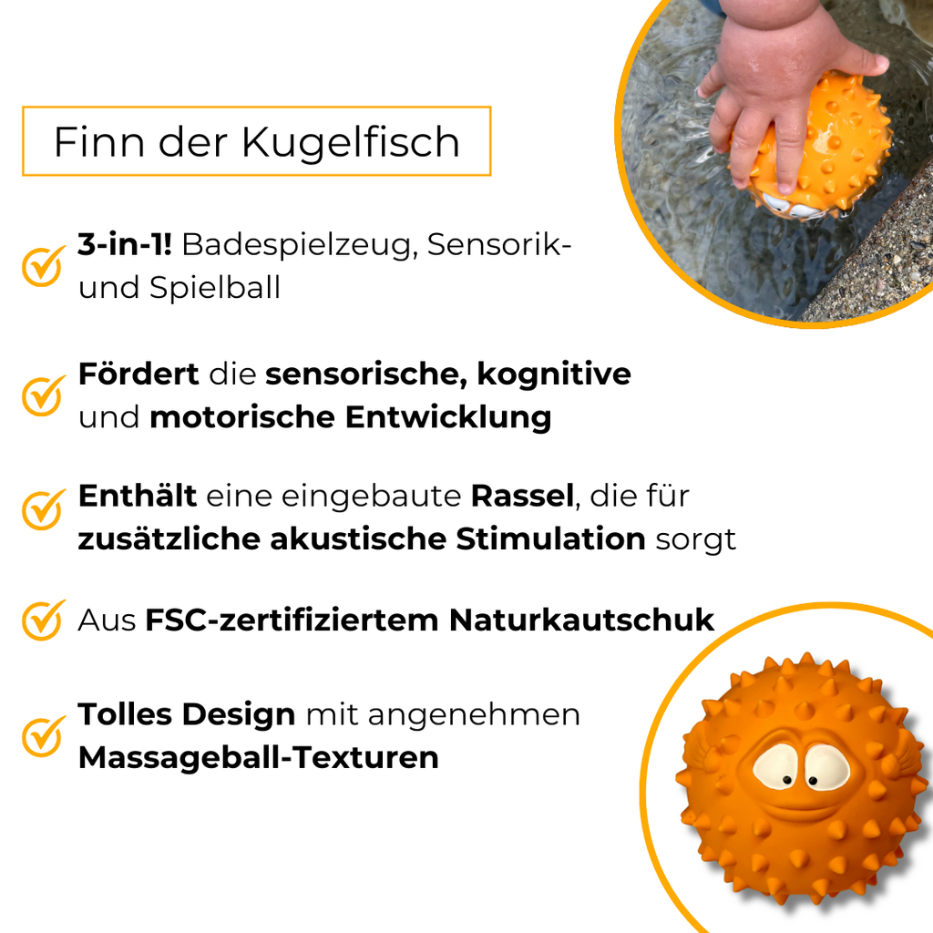 Finn le poisson-globe 