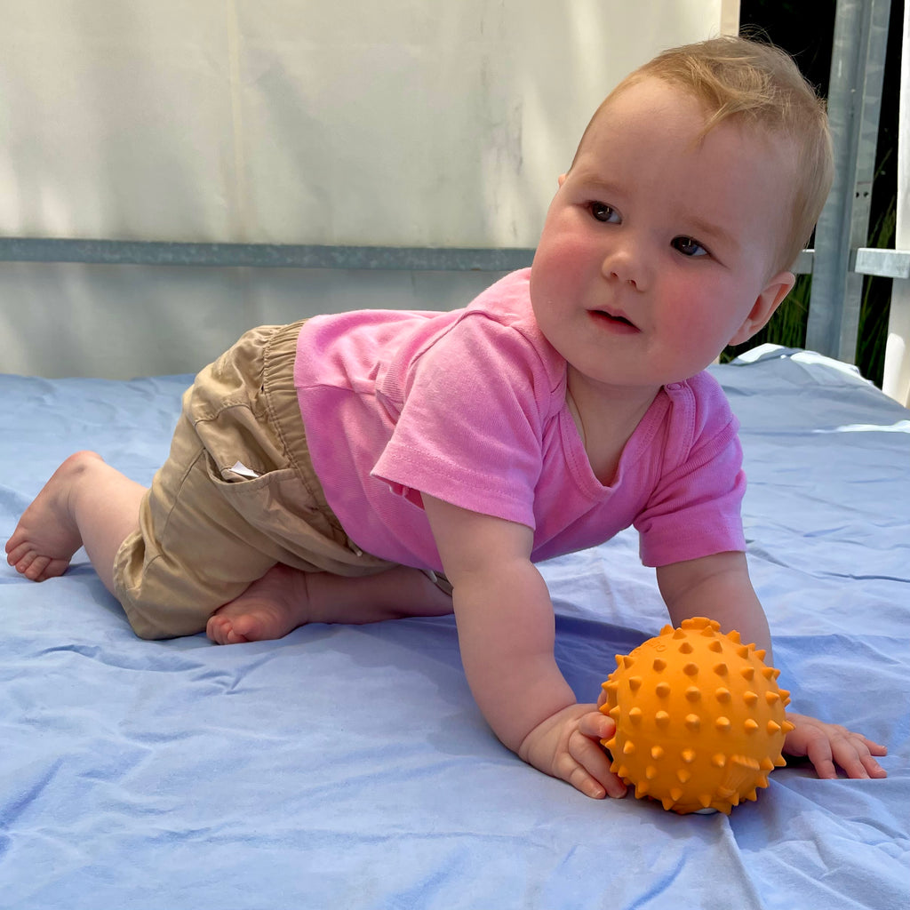 Finn le poisson-globe 