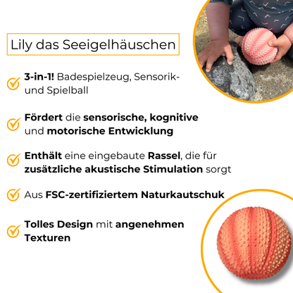 Lily das Seeigelhäuschen