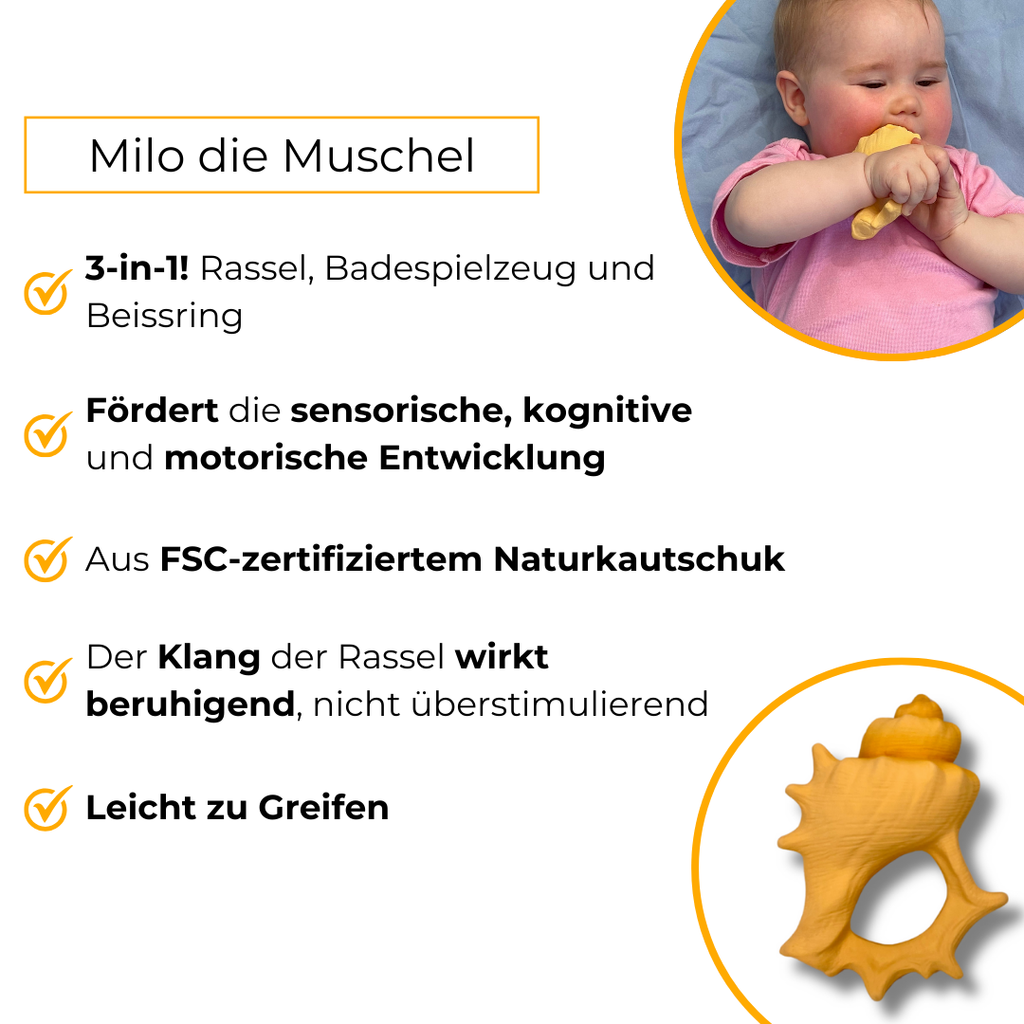 Milo die Muschel
