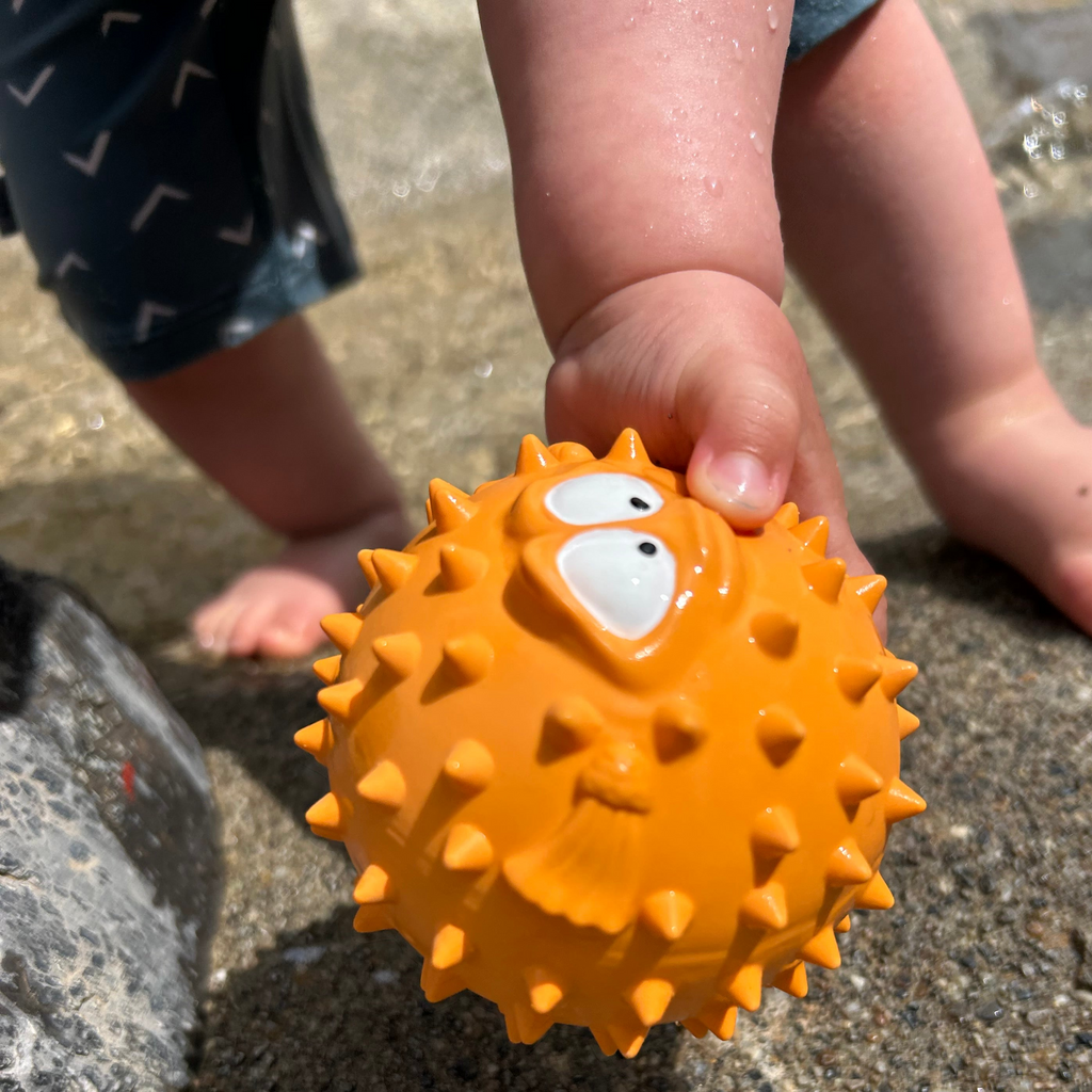 Finn le poisson-globe 